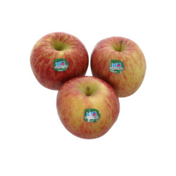 POMME FUJI 6,5KG